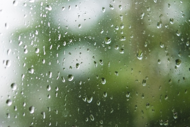 【梅雨入り】お家の湿気・カビ対策をしましょう