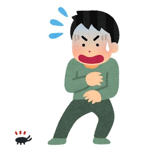 家族を守る住まいへ：徹底的な防虫対策