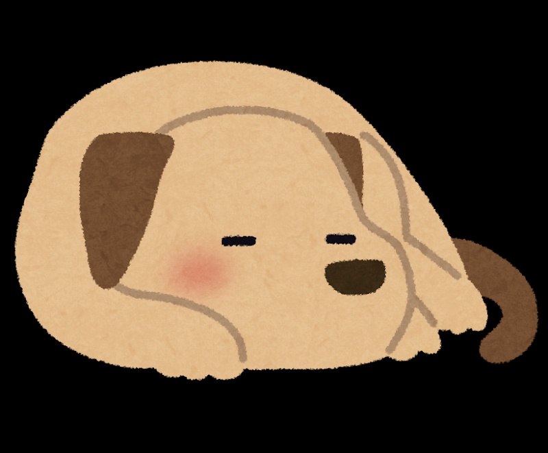 愛犬と住む家づくりについて２