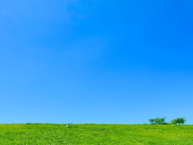 地価公示が発表されました