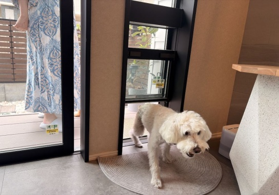 愛犬専用の出入口