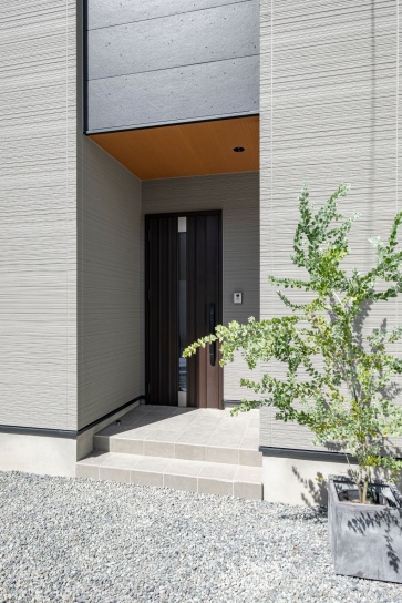 外の樹木も「アカシア」